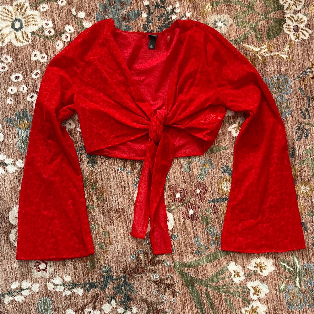 Wild Fable Red Velvet Tie-Front Crop Top